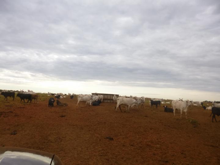 Fazenda, 7526 m² - Foto 2