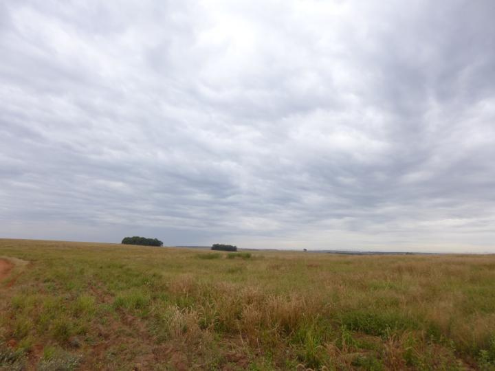 Fazenda, 7526 m² - Foto 6