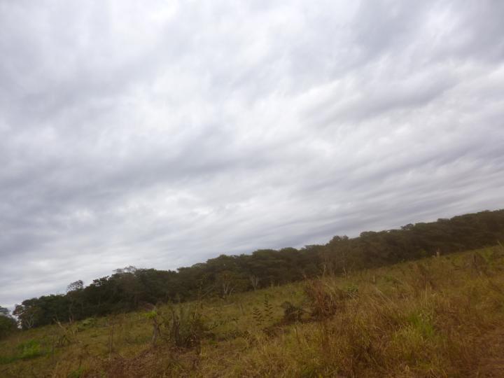 Fazenda, 7526 m² - Foto 11