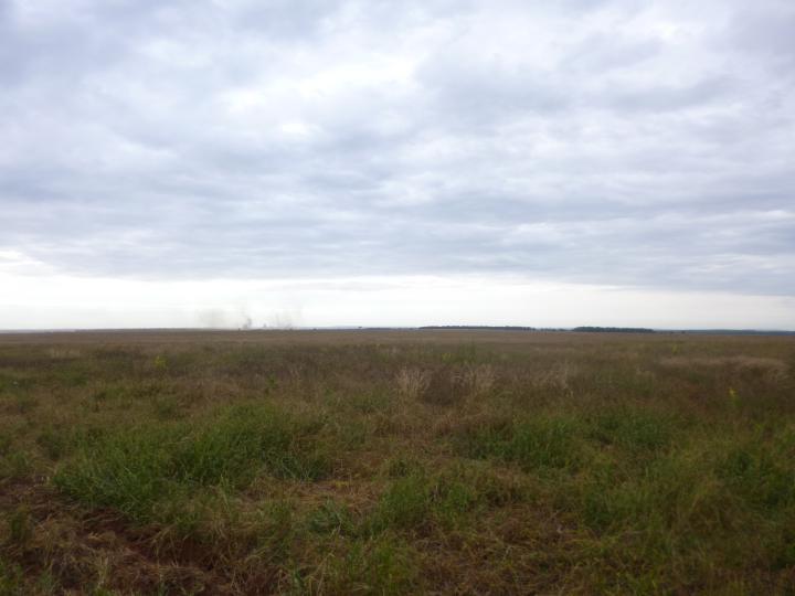 Fazenda, 7526 m² - Foto 12