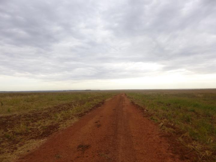 Fazenda, 7526 m² - Foto 13