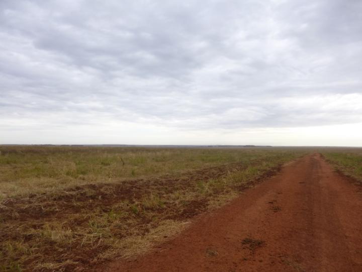 Fazenda, 7526 m² - Foto 14