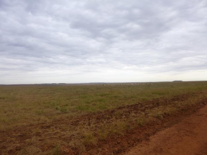 Fazenda, 7526 m² - Foto 16