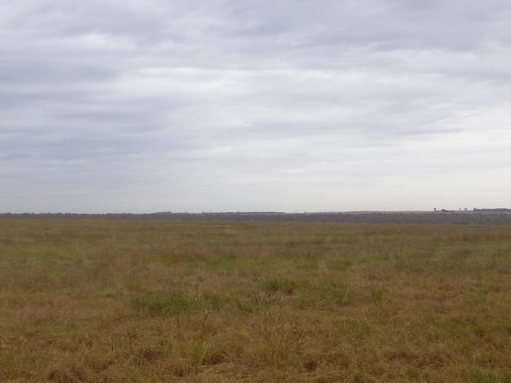 Fazenda, 7526 m² - Foto 17