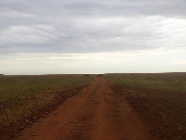 Fazenda, 7526 m² - Foto 18