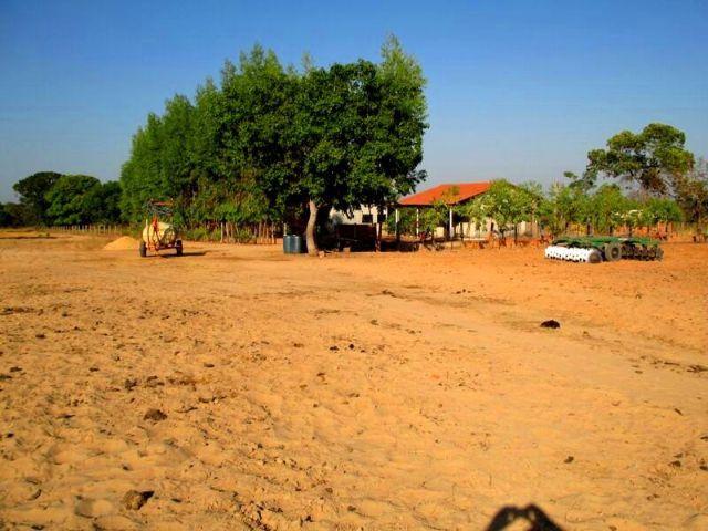 Fazenda - Foto 11