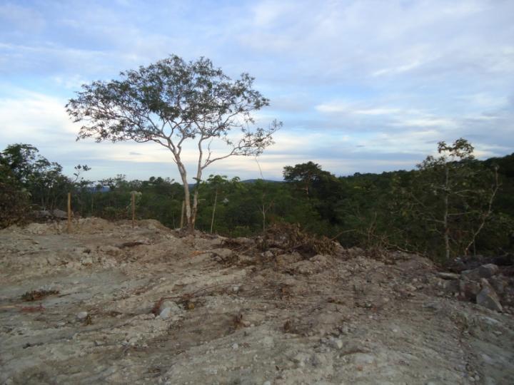 Chácara, 3600 m² - Foto 2