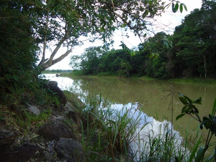 Chácara, 3600 m² - Foto 1