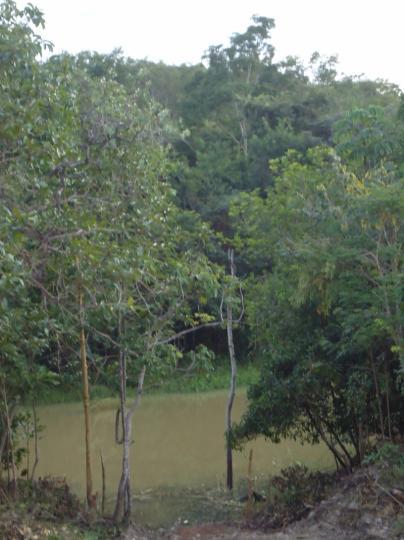 Chácara, 3600 m² - Foto 4