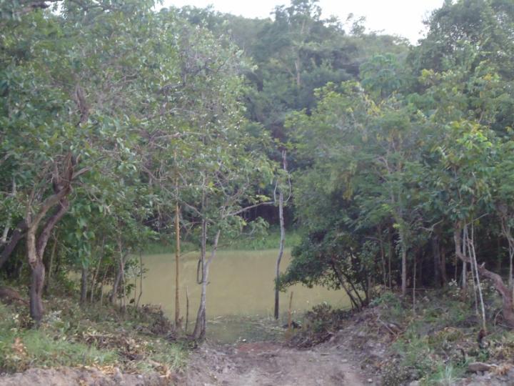 Chácara, 3600 m² - Foto 5