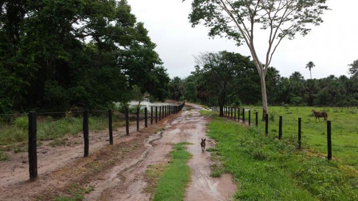 Fazenda, 3 quartos - Foto 7