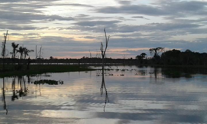 Fazenda, 3 quartos - Foto 1