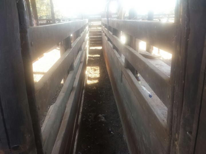 Fazenda, 3 quartos - Foto 15