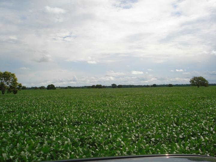 Fazenda, 3 quartos - Foto 17