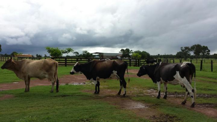 Fazenda, 3 quartos - Foto 19