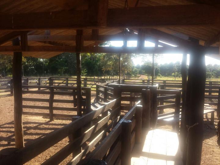 Fazenda, 3 quartos - Foto 20