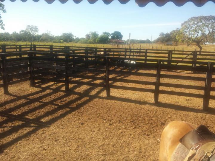 Fazenda, 3 quartos - Foto 22