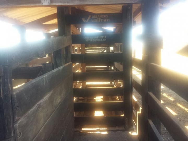 Fazenda, 3 quartos - Foto 23