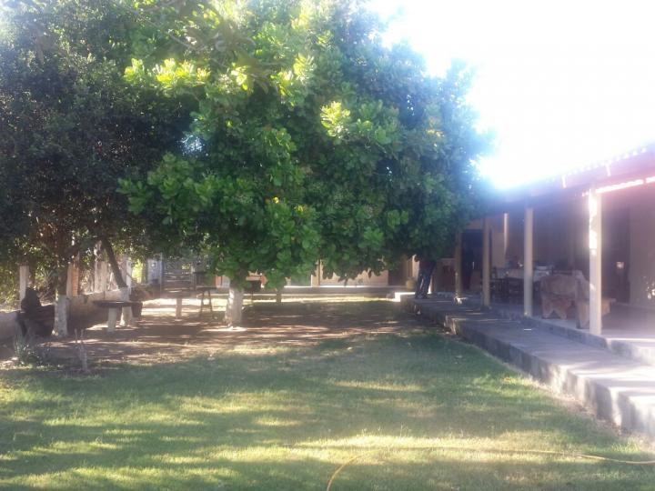 Fazenda, 3 quartos - Foto 28