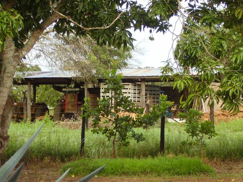 Fazenda - Foto 19