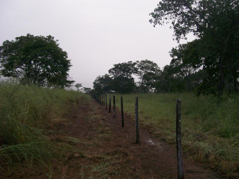Fazenda - Foto 22
