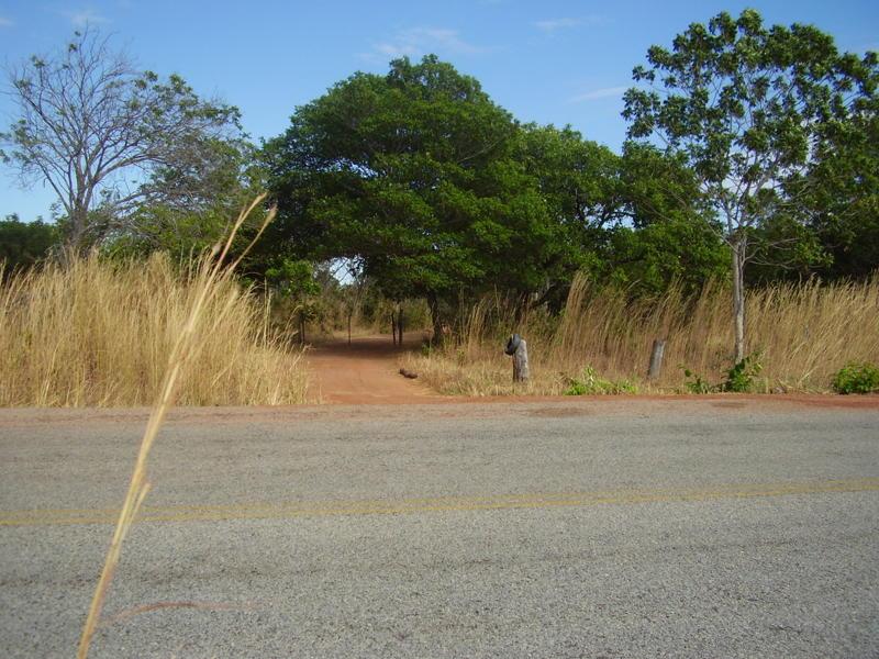 Fazenda - Foto 24