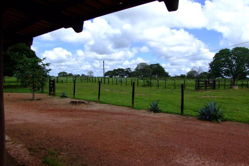 Fazenda - Foto 28