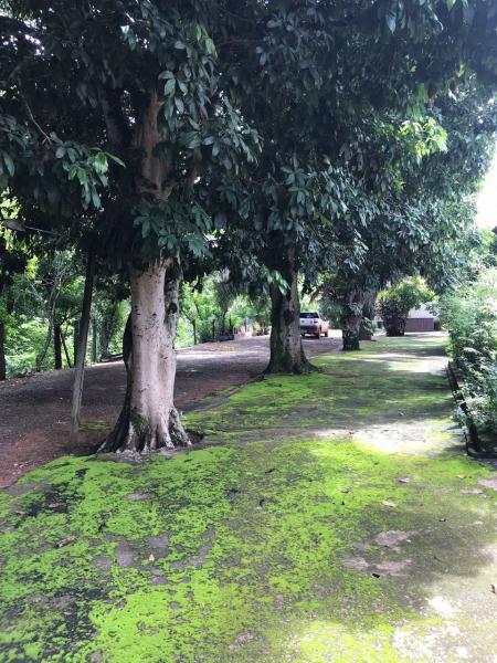 Chácara, 7 quartos, 1000 m² - Foto 13