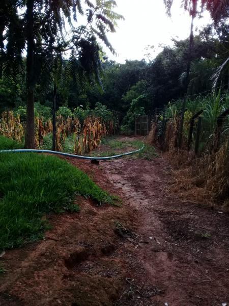 Chácara, 2 quartos, 6000 m² - Foto 3