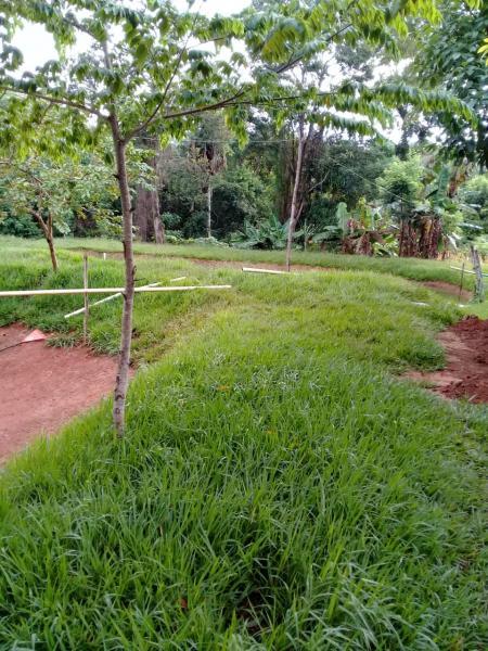 Chácara, 2 quartos, 6000 m² - Foto 4