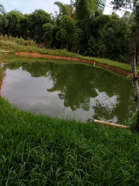 Chácara, 2 quartos, 6000 m² - Foto 7