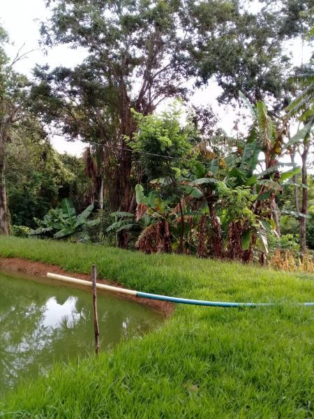 Chácara, 2 quartos, 6000 m² - Foto 9