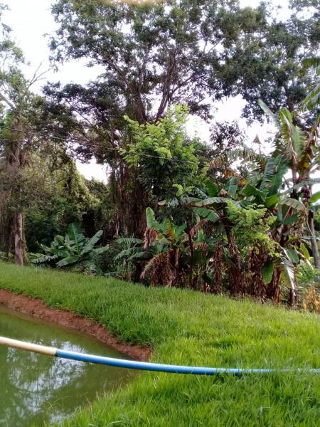 Chácara, 2 quartos, 6000 m² - Foto 10