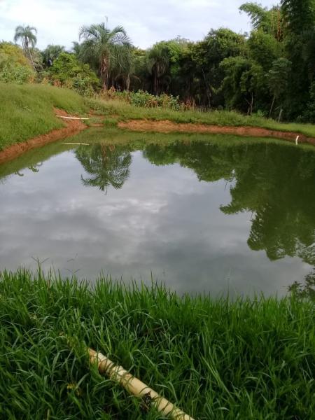 Chácara, 2 quartos, 6000 m² - Foto 1