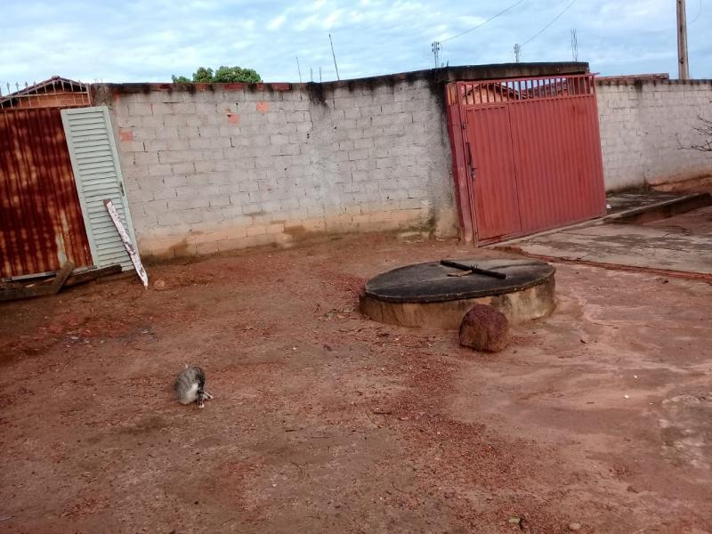 Chácara, 2 quartos, 6000 m² - Foto 12