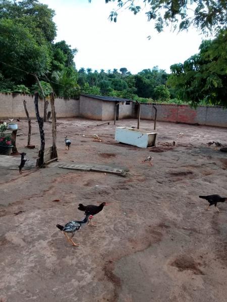 Chácara, 2 quartos, 6000 m² - Foto 15