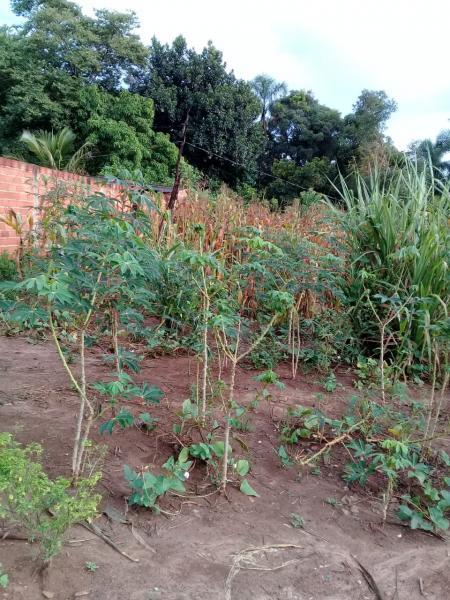 Chácara, 2 quartos, 6000 m² - Foto 17